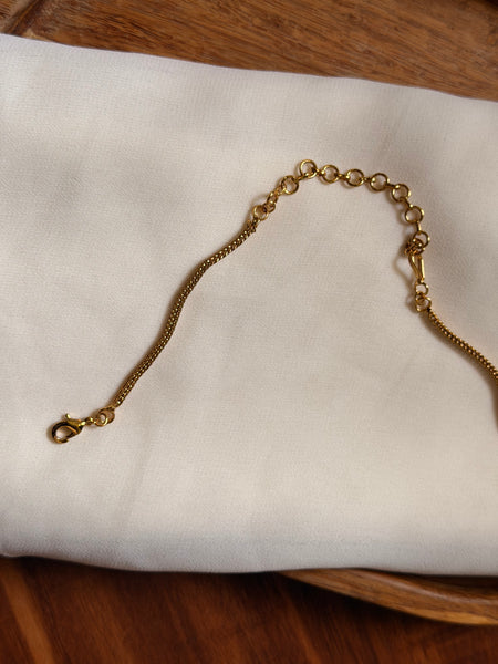 Necklace extension with lock hook