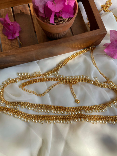 Golden Pearl budget hip belt
