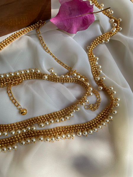 Golden Pearl budget hip belt